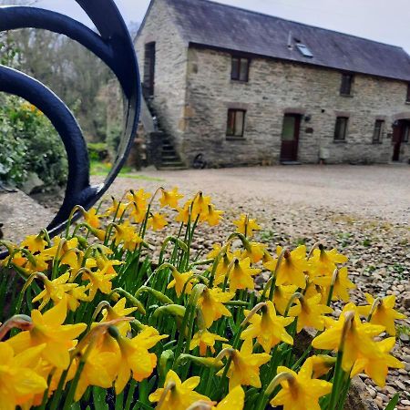 Troedyrhiw Holiday Cottages Cardigan Eksteriør billede