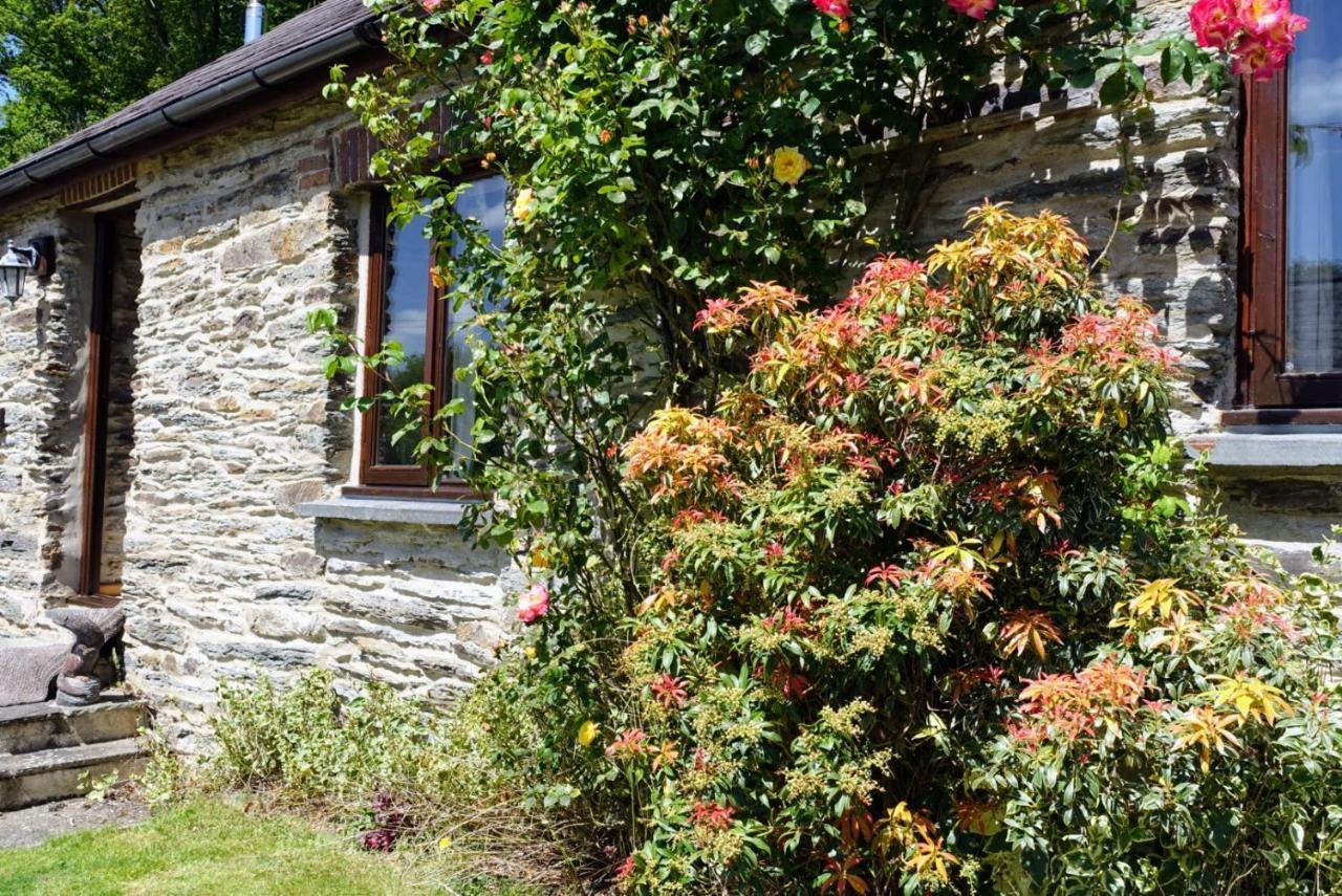 Troedyrhiw Holiday Cottages Cardigan Eksteriør billede